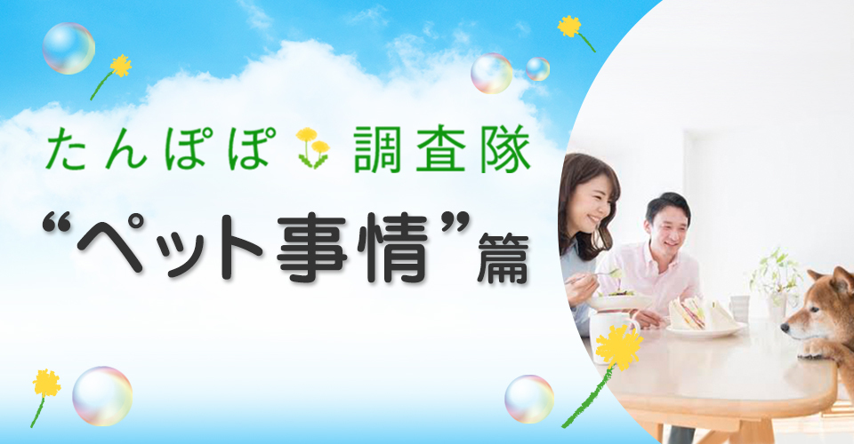 たんぽぽ調査隊