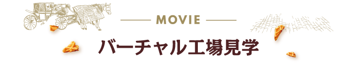 動画ギャラリー