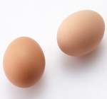 鶏卵（たまご） イメージ