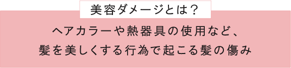 美容ダメージとは？ヘアカラーや熱器具の使用など、髪を美しくする行為で起こる髪の傷み
