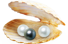 黒真珠と白真珠に含まれるタンパク質コンキオリンを配合。<br>毛髪表面に吸着しキューティクルを補修。<br>ツヤをあたえてなめらかな指通りに。