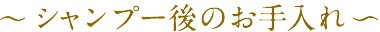 シャンプー後のお手入れ