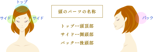 頭のパーツの名称