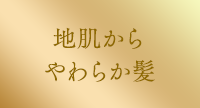 地肌からやわらか髪