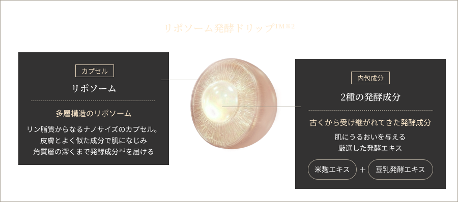 リポソーム発酵ドリップの仕組み図