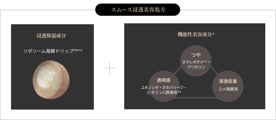 スムース浸透美容処方の仕組み図