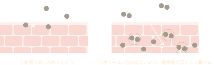 肌表面ではじかれる成分も、リポソームに包み込むことで角質層の深くまで届くことを示す比較図