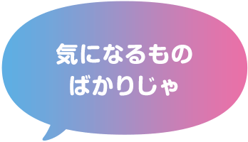 気になるものばかりじゃ