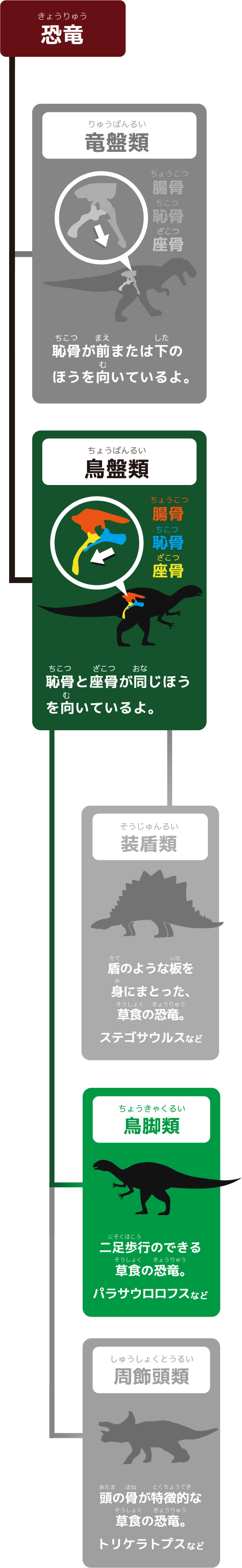 系統図