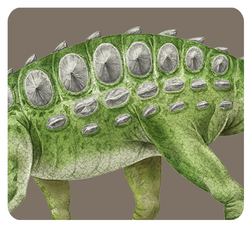 アンキロサウルスの体