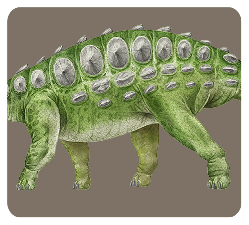 アンキロサウルスの足