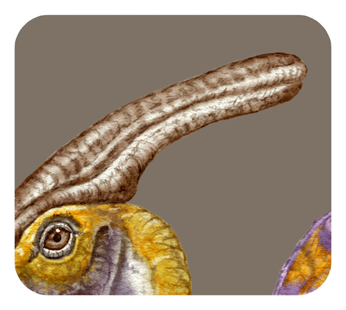 パラサウロロフスの長いとさか