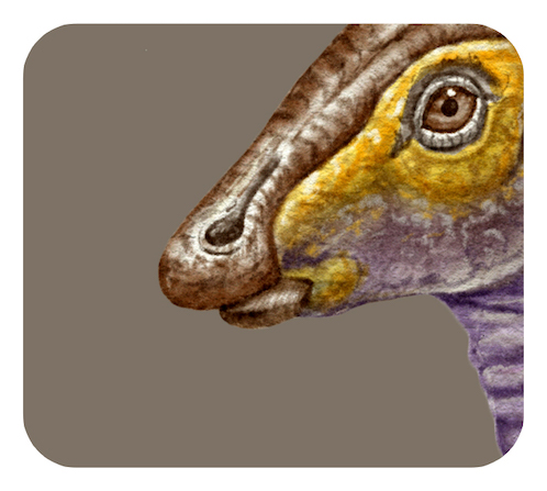 パラサウロロフスの口