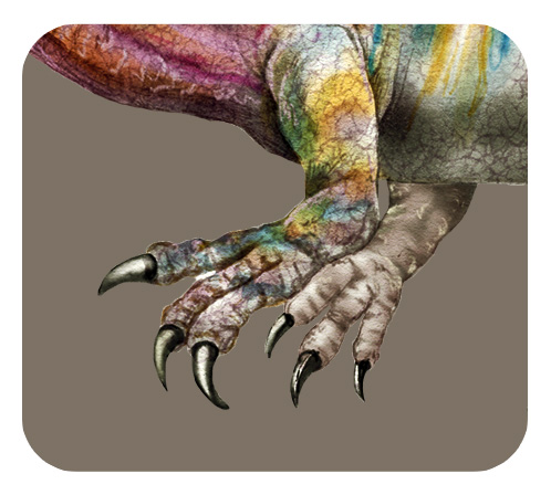 スピノサウルスの前足