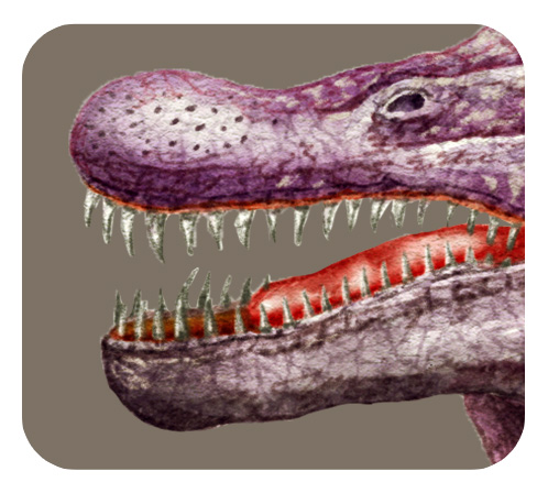 スピノサウルスの口
