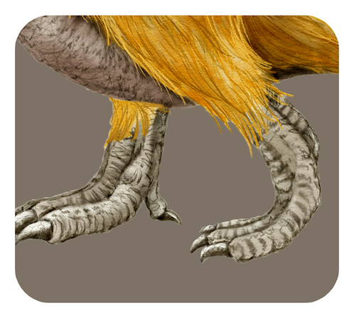 テリジノサウルスの足