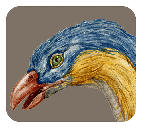 テリジノサウルスの頭