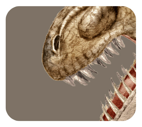 ティラノサウルスの鼻