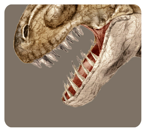ティラノサウルスの歯