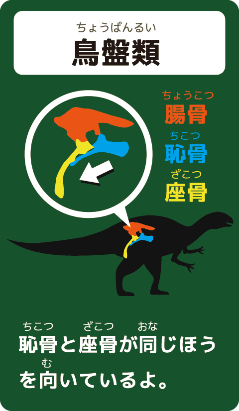 鳥盤類(ちょうばんるい)