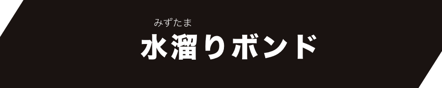 水溜りボンド