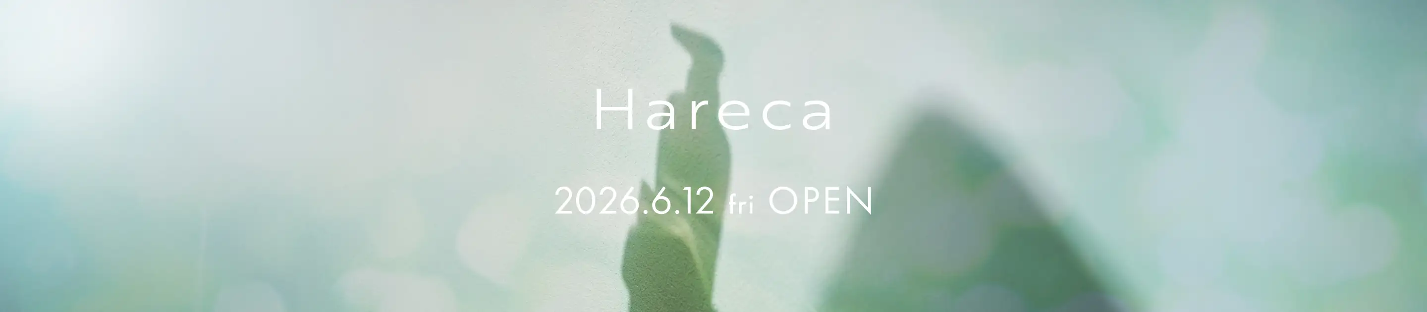 Hareca 2026.6.12(金)OPEN