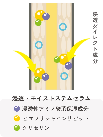 浸透・モイストステムセラム