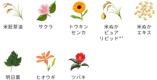 いち髪 なめらかスムースケアライン クラシエ