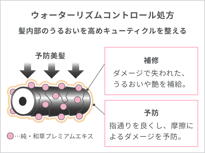 いち髪｜潤濃和草エッセンス｜クラシエ
