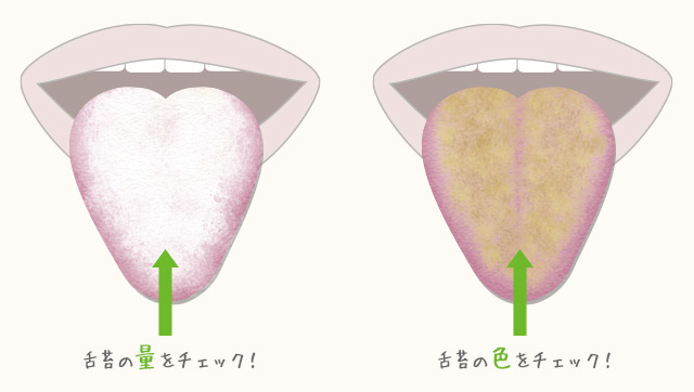 カンタン！「漢方流　胃腸の弱りチェック法」