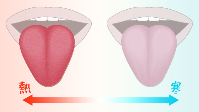 熱のこもった状態とカラダが冷えている時の舌の色チェック