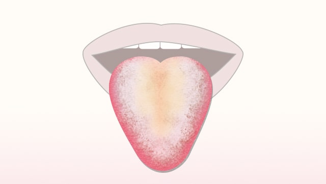 舌の特徴