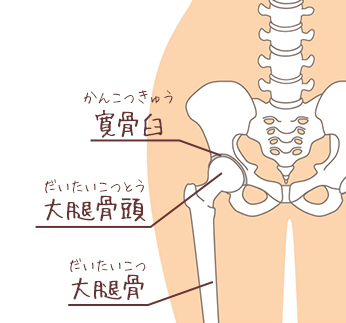 カラダが硬いと老けて見える 股関節をやわらかく保つ 簡単ストレッチ 漢方の知恵で もっと健やかに美しく Kampoful Life