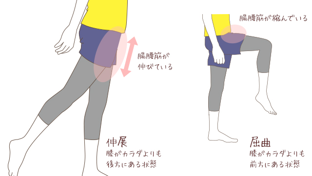 カラダが硬いと老けて見える 股関節をやわらかく保つ 簡単ストレッチ 漢方の知恵で もっと健やかに美しく Kampoful Life