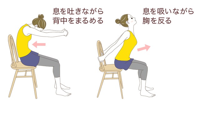 2. 四つん這い – 背中の屈曲と伸展