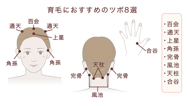 “薄毛予防に効果的なツボ8選”