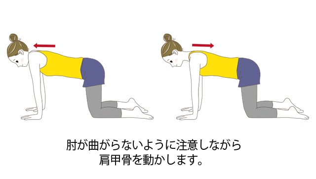 “肩甲骨のアップダウン体操（四つん這い）”