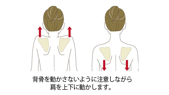 “肩甲骨のアップダウン体操（座位）”