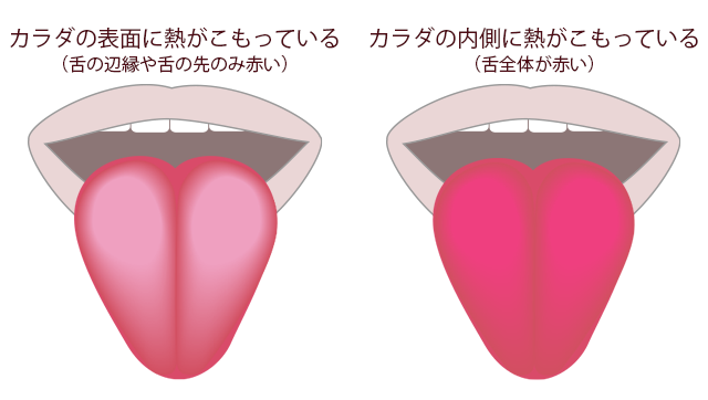 野外でのおすすめ暑さ対策 舌でわかる体の熱のこもり具合