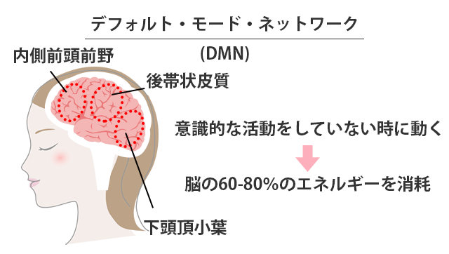 “デフォルトモードネットワーク（DMN）”