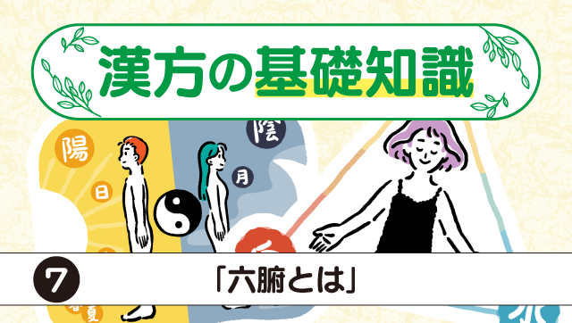 漢方の基礎知識７「六腑とは」