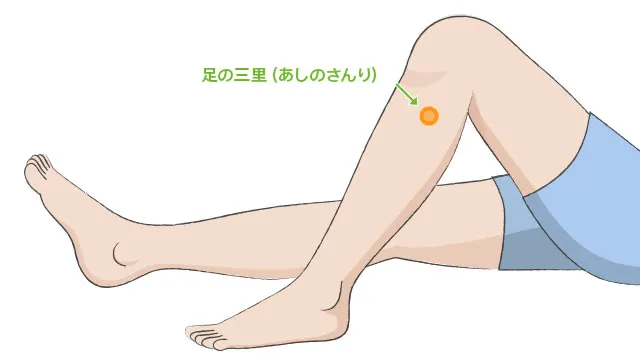 足三里のツボのイラスト