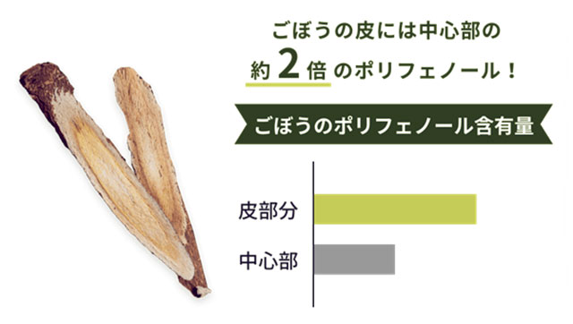 ごぼうの皮には中心部の約2倍のポリフェノール！