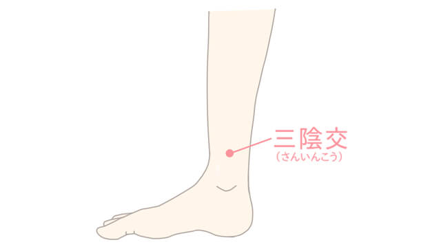 「三陰交」のイラスト