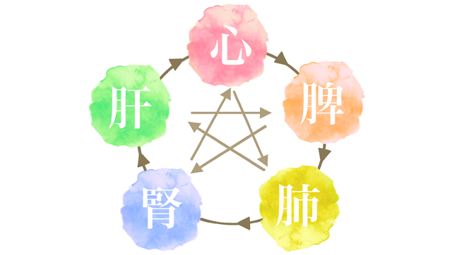 肝・心・脾・肺・腎のバランス イメージ画像