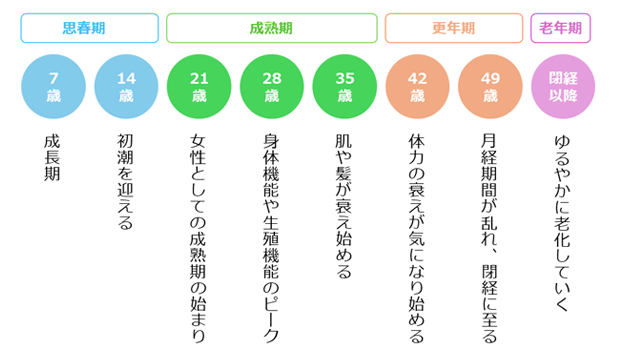 女性のカラダにあらわれる7年ごとの変化