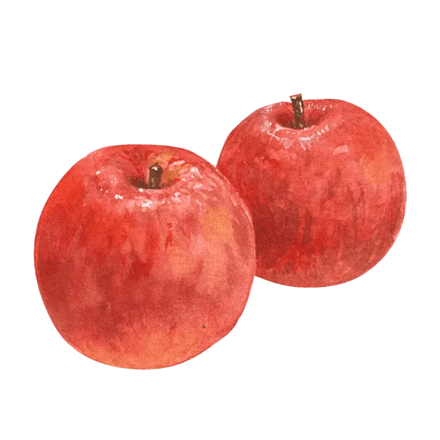 りんごのイラスト