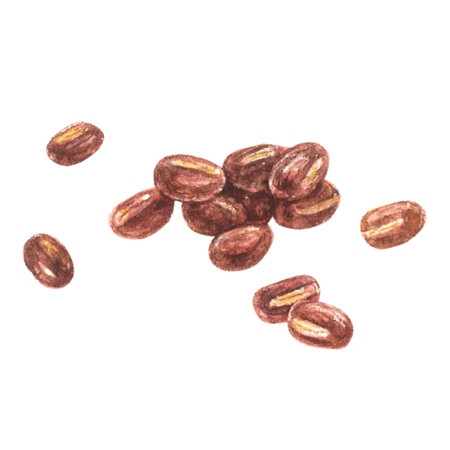 小豆のイラスト