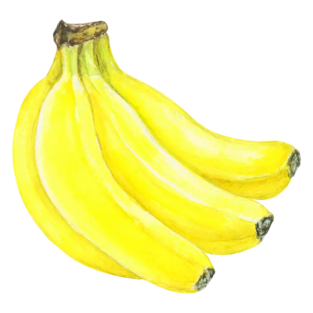 バナナのイラスト