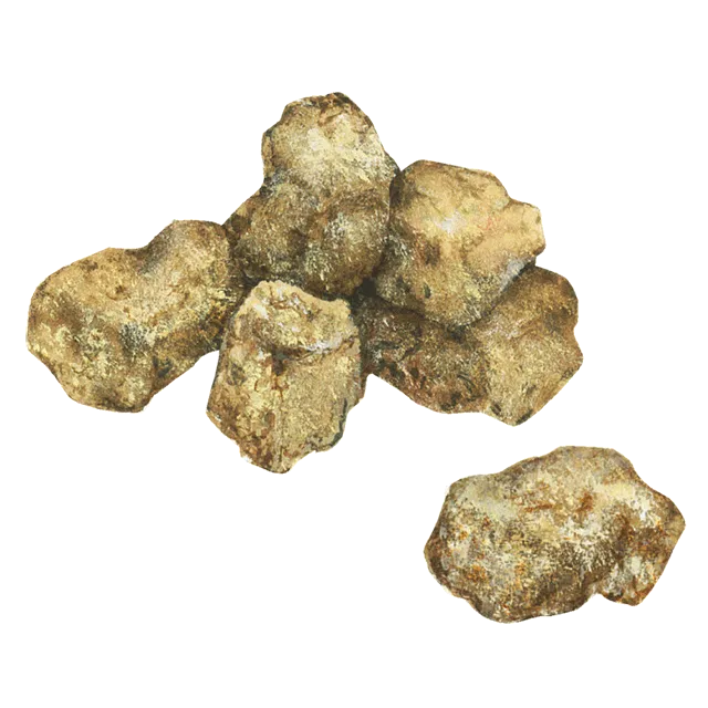 黒糖のイラスト